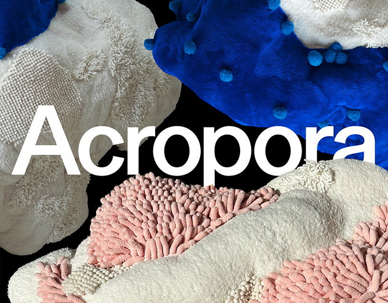 Наследный принц Уильям впервые высказался после задержания дяди, экс-принца Эндрю, по делу Эпштейна